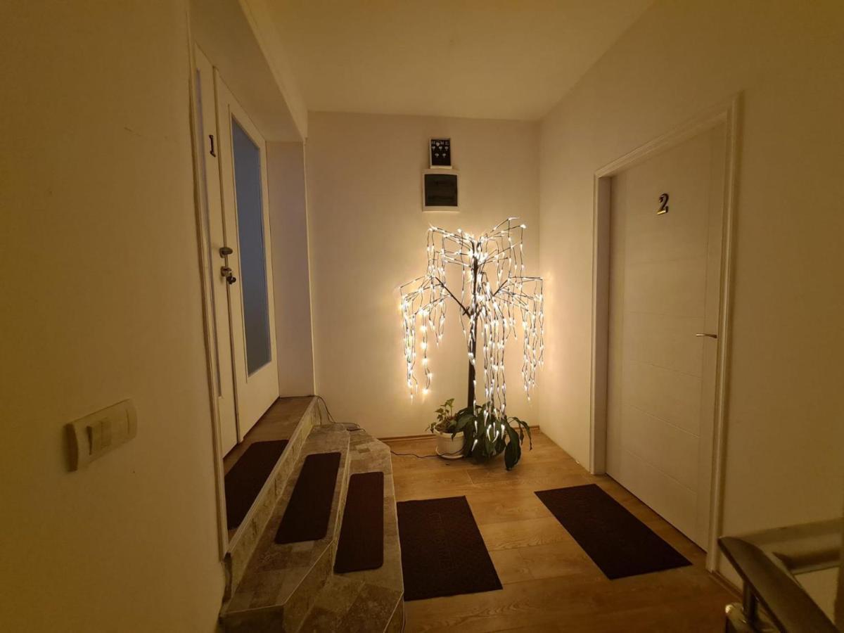 Apartmani Mladenovic Kijevo المظهر الخارجي الصورة