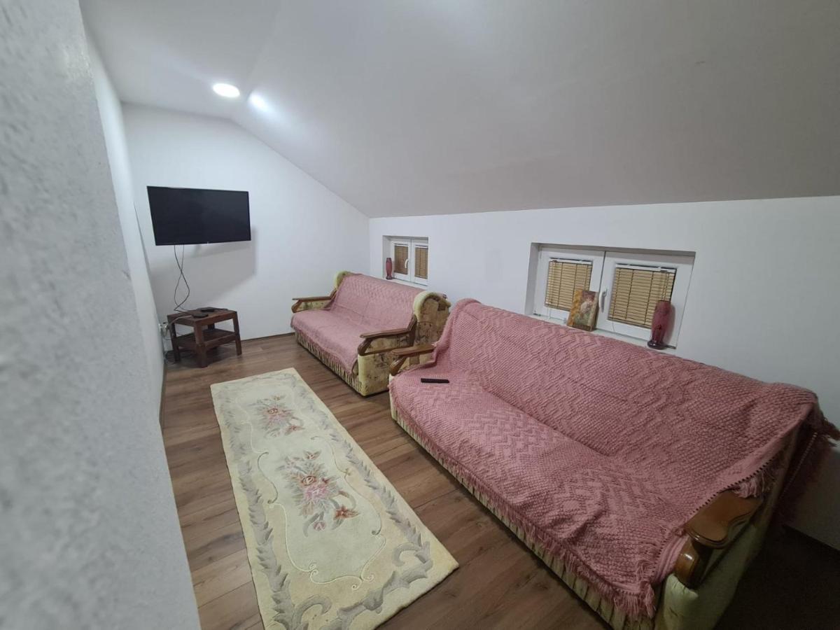 Apartmani Mladenovic Kijevo المظهر الخارجي الصورة